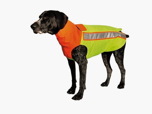 Gilet di protezione per cani Hubertus con inserto in Kevlar