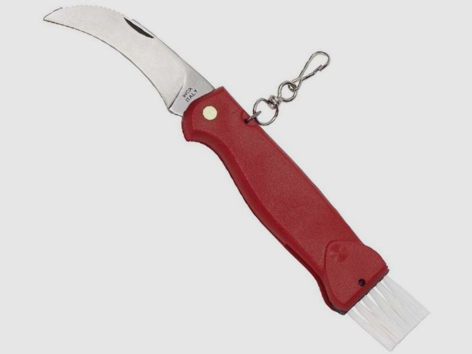 Pilzmesser mit rotem Griff