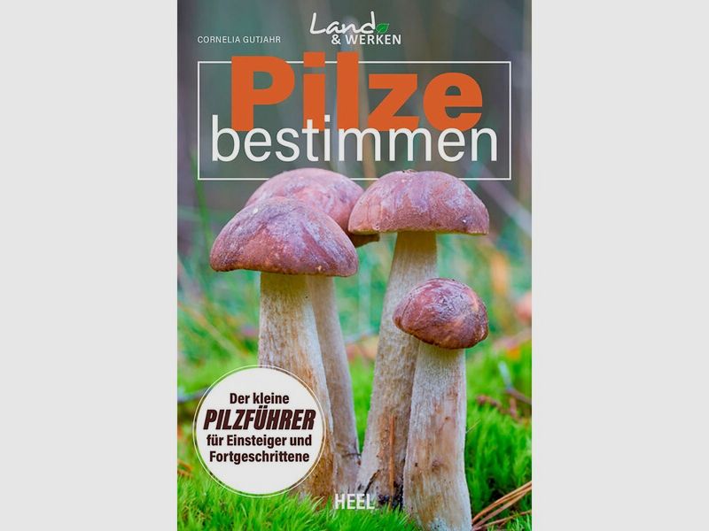 Pilze bestimmen - Kleiner Pilzführer für Einsteiger und Fortgeschrittene - 120 Seiten - Softcover