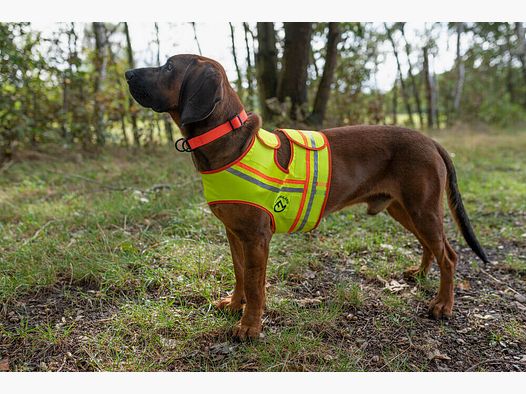 Hunde Reflektorweste