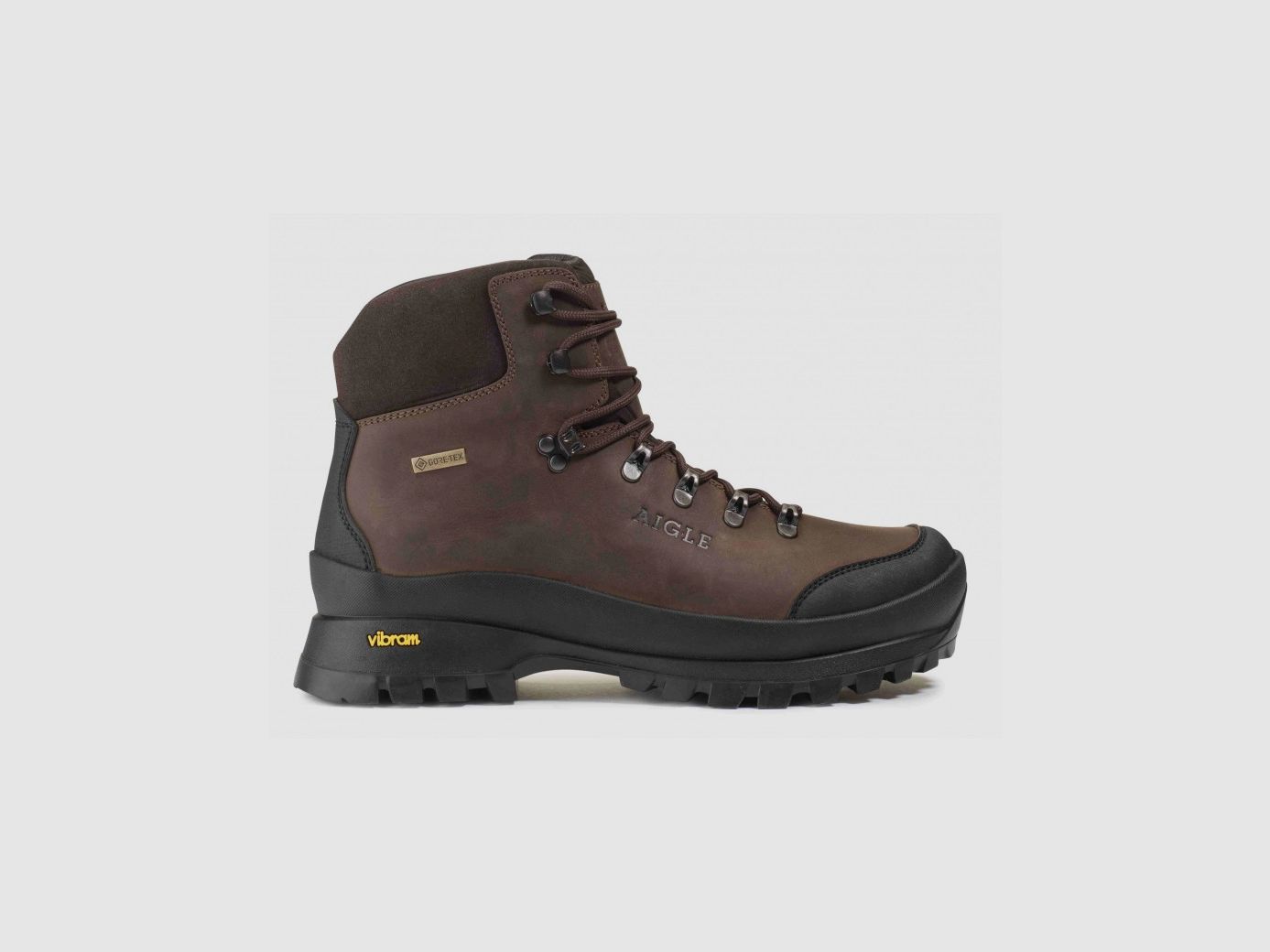 AIGLE MUNTAGNA GTX Schoenen Bruin P39