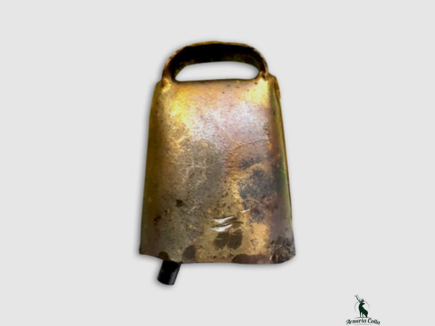 Campano Sardo Lungo Medio mod. L3