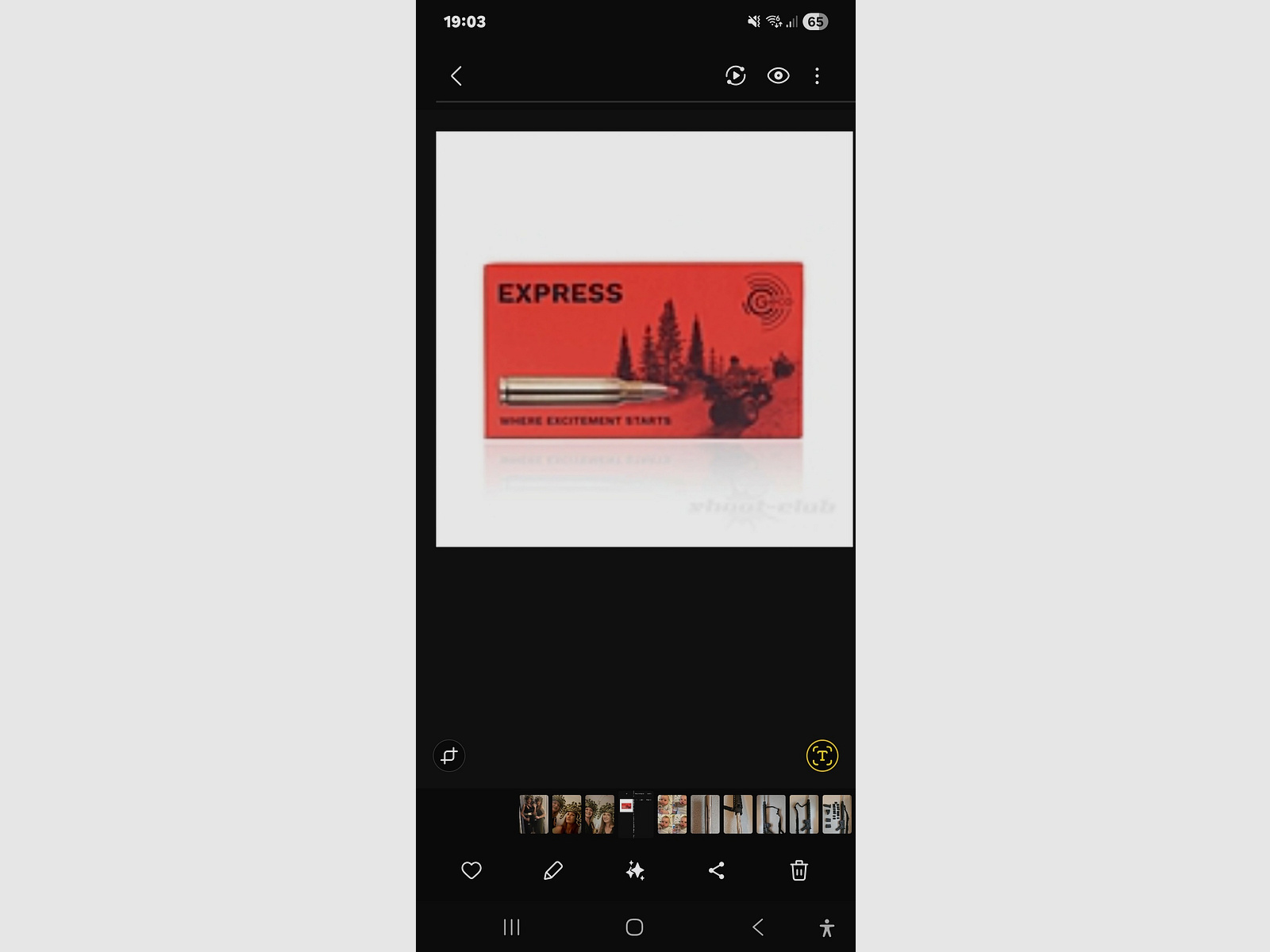 .text>.223 Remington Munition GECO Express