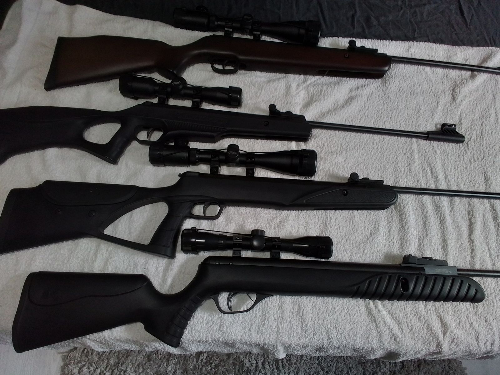 Umarex, Diana, Hämmerli, Gamo, Rügen, Stoeger, Sig Sauer