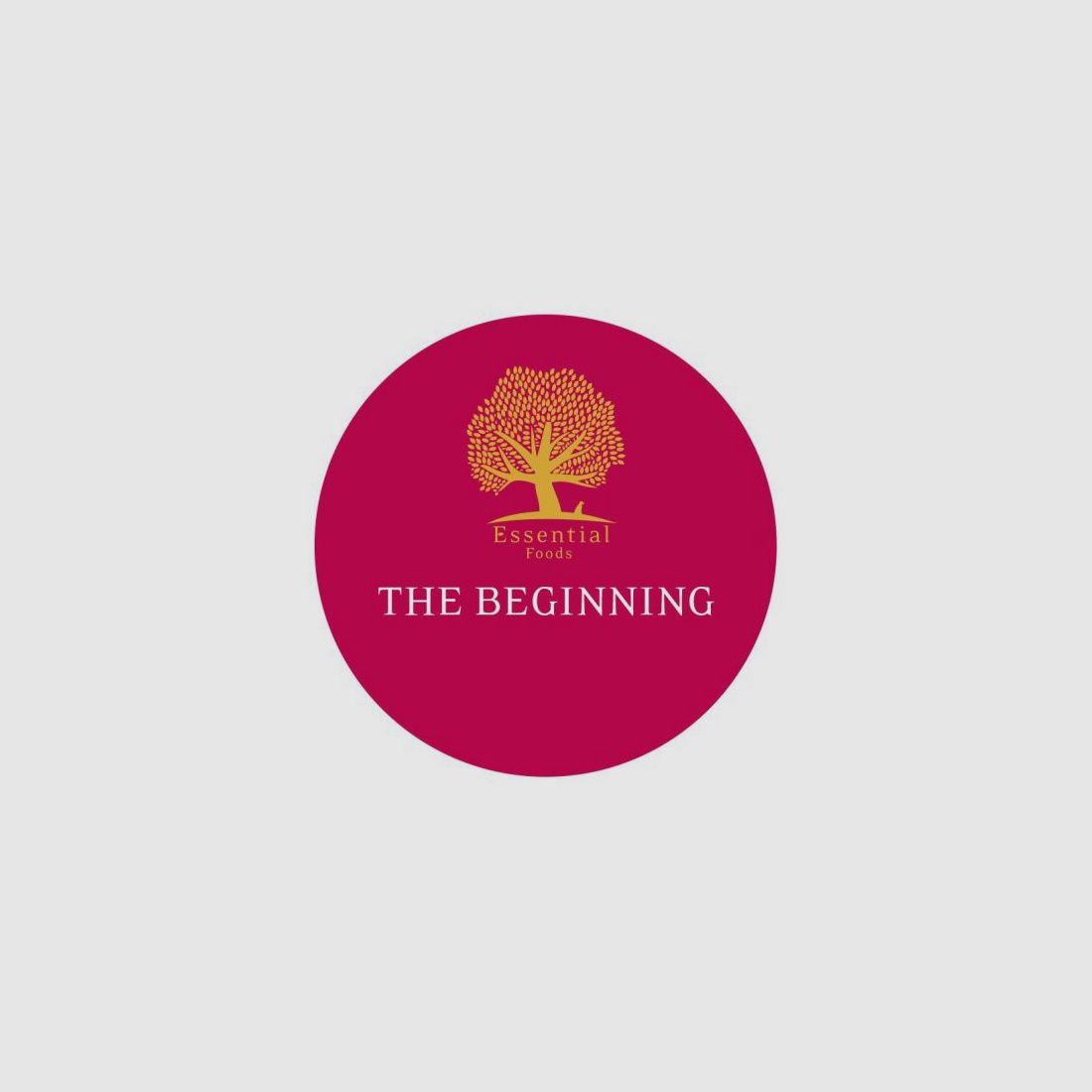 Essential Foods Essential The Beginning Small Size 2,5kg