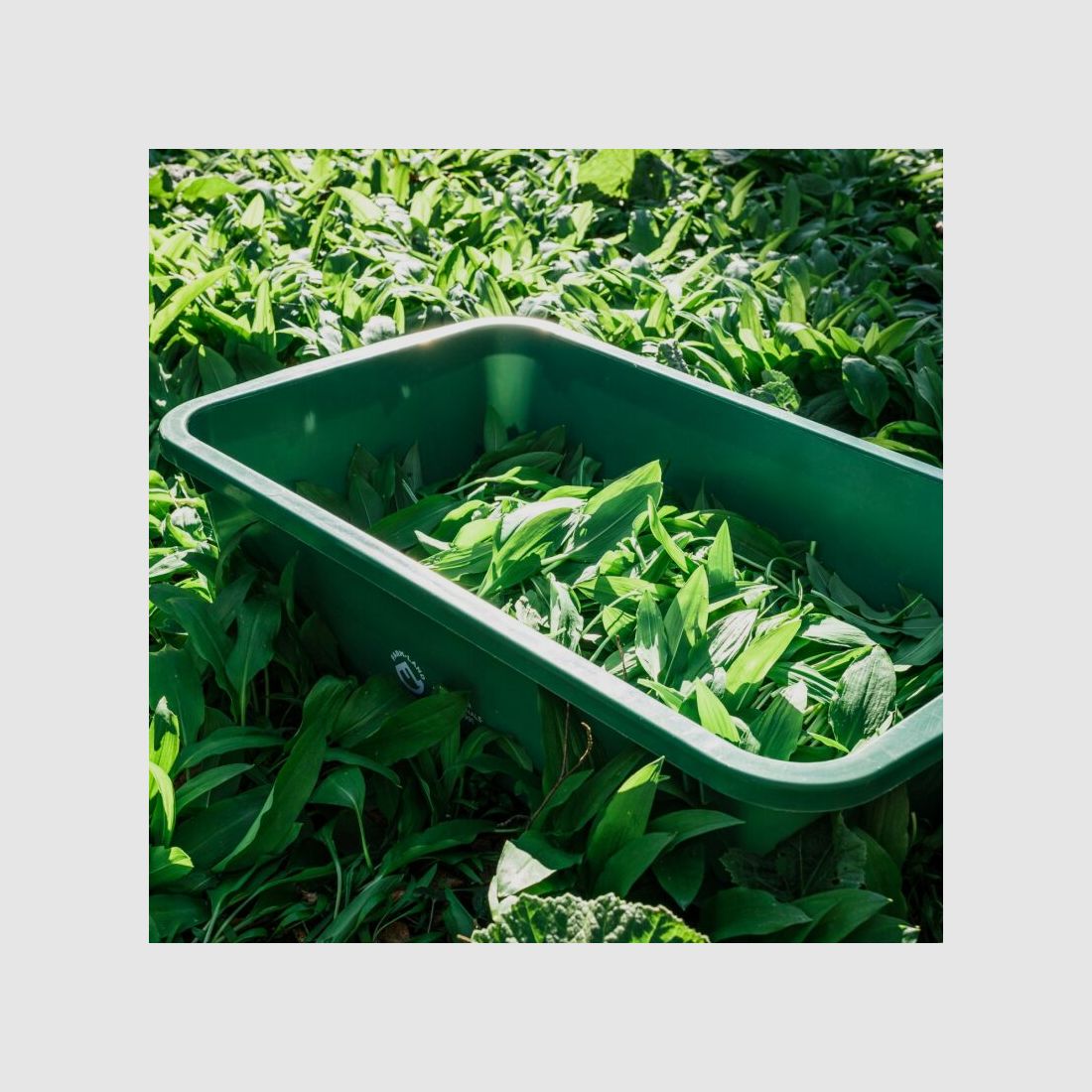 Farm-Land Wildwanne 60 Liter lebensmittelecht