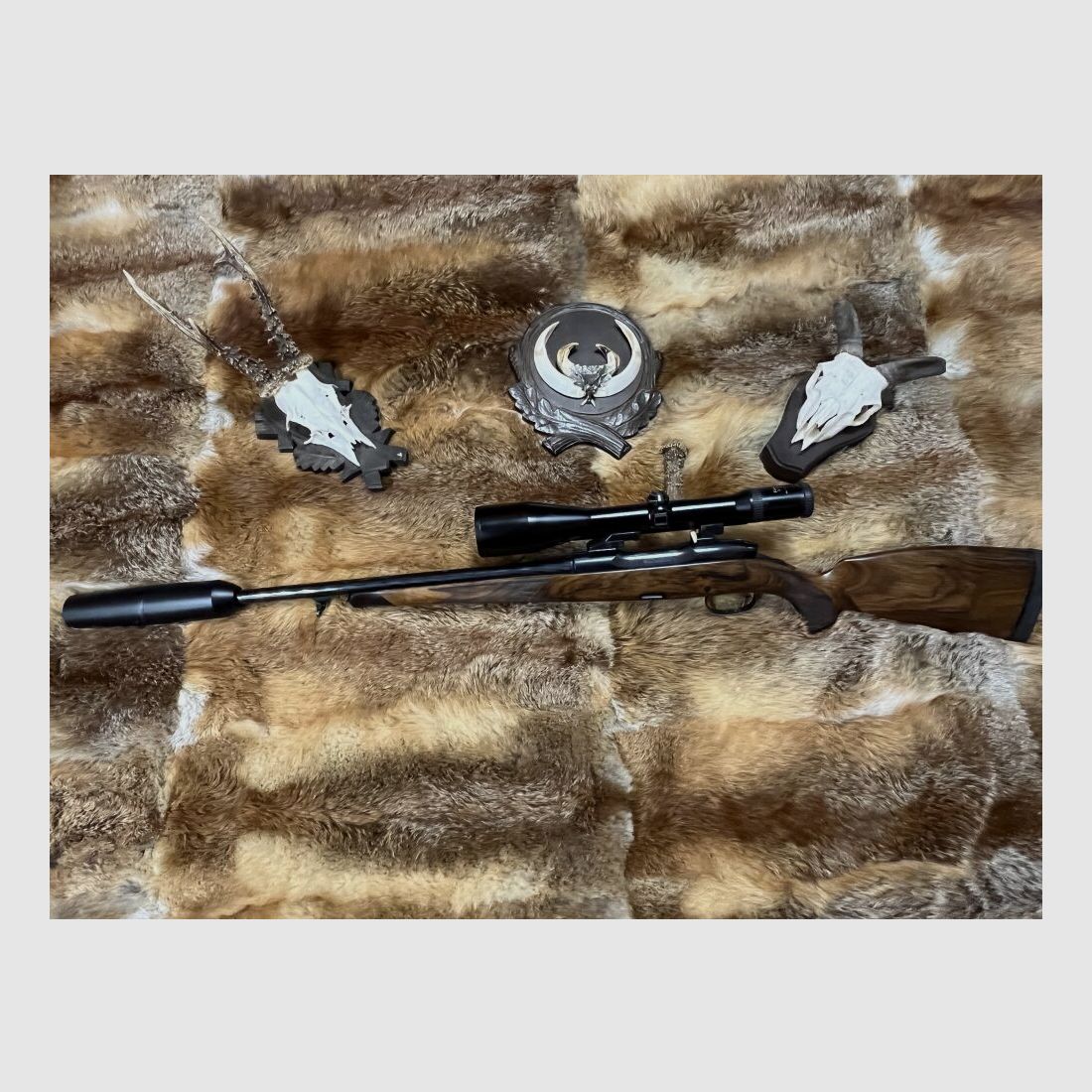 Steyr Mannlicher SBS