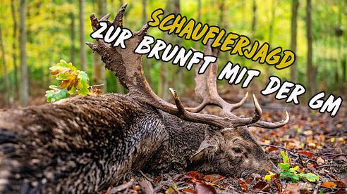 Schauflerjagd zur Brunft mit der GM