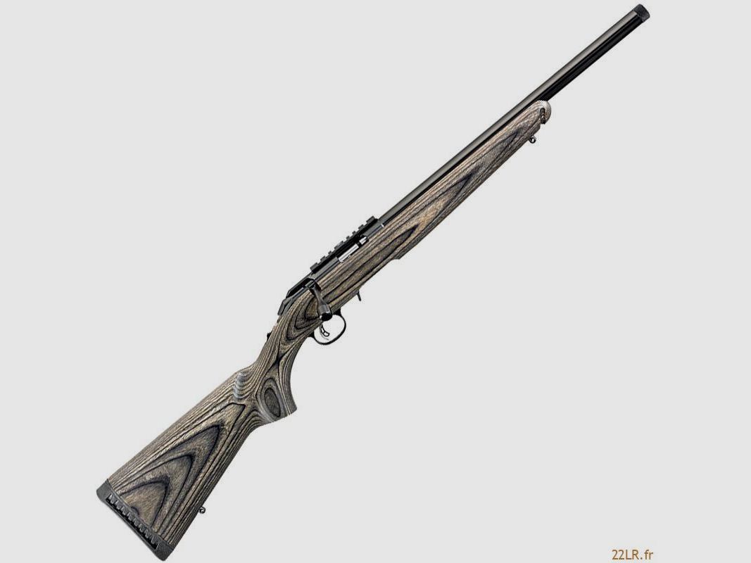 Repetierbüchse 22LR Ruger American Rimfire Target und Zubehör