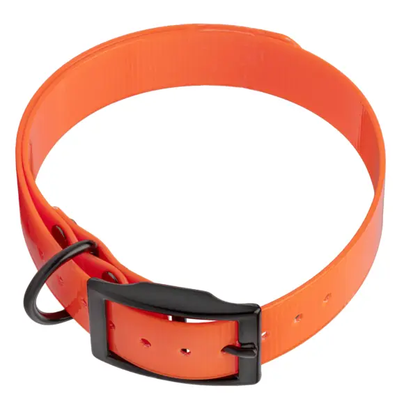 Collier Biothane Orange Biogold Hi-Flex Sangle Polyuréthane Extrudé 650x25x2mm, image 3 sur 6