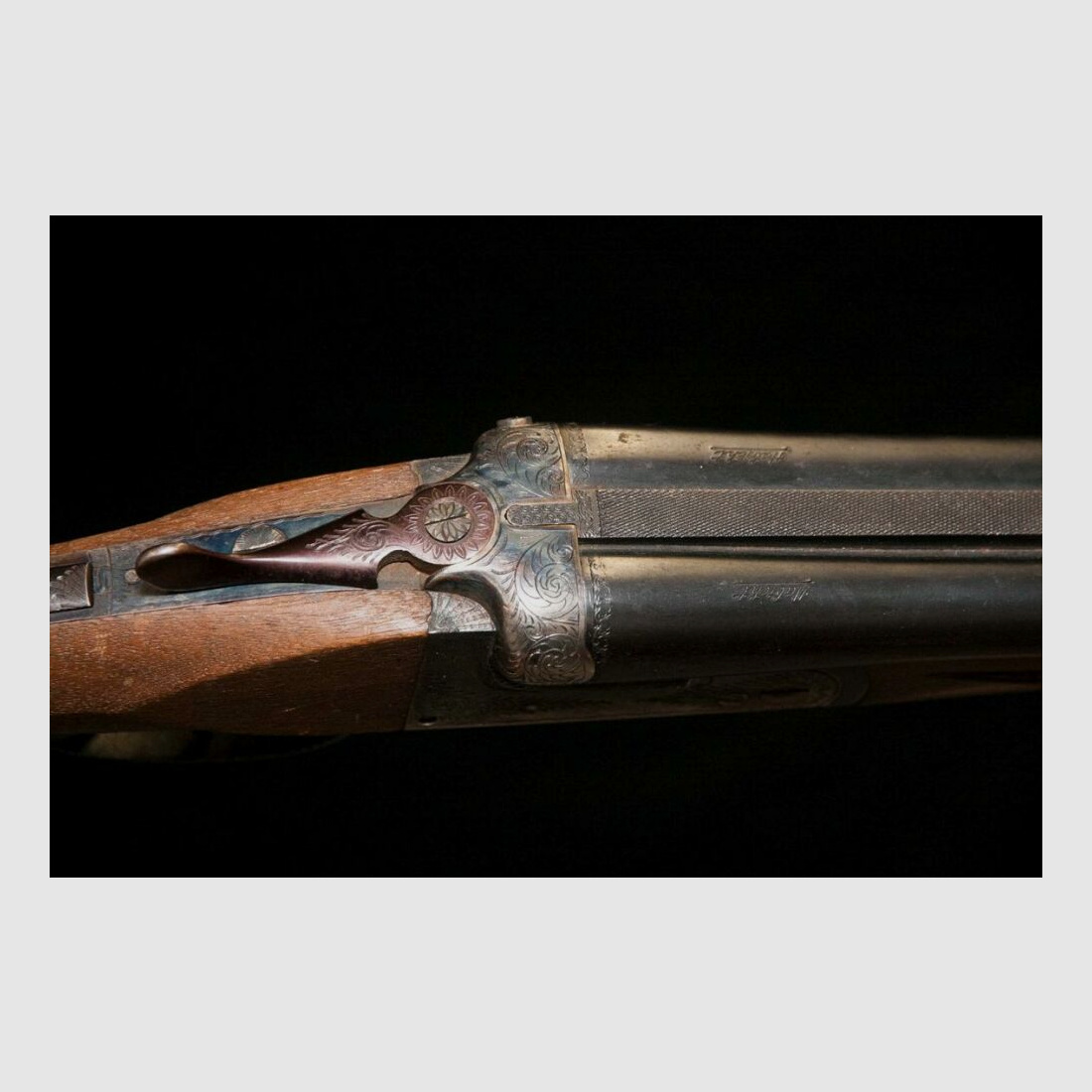 Double-barreled shotgun, cross shotgun, dog training, etc.