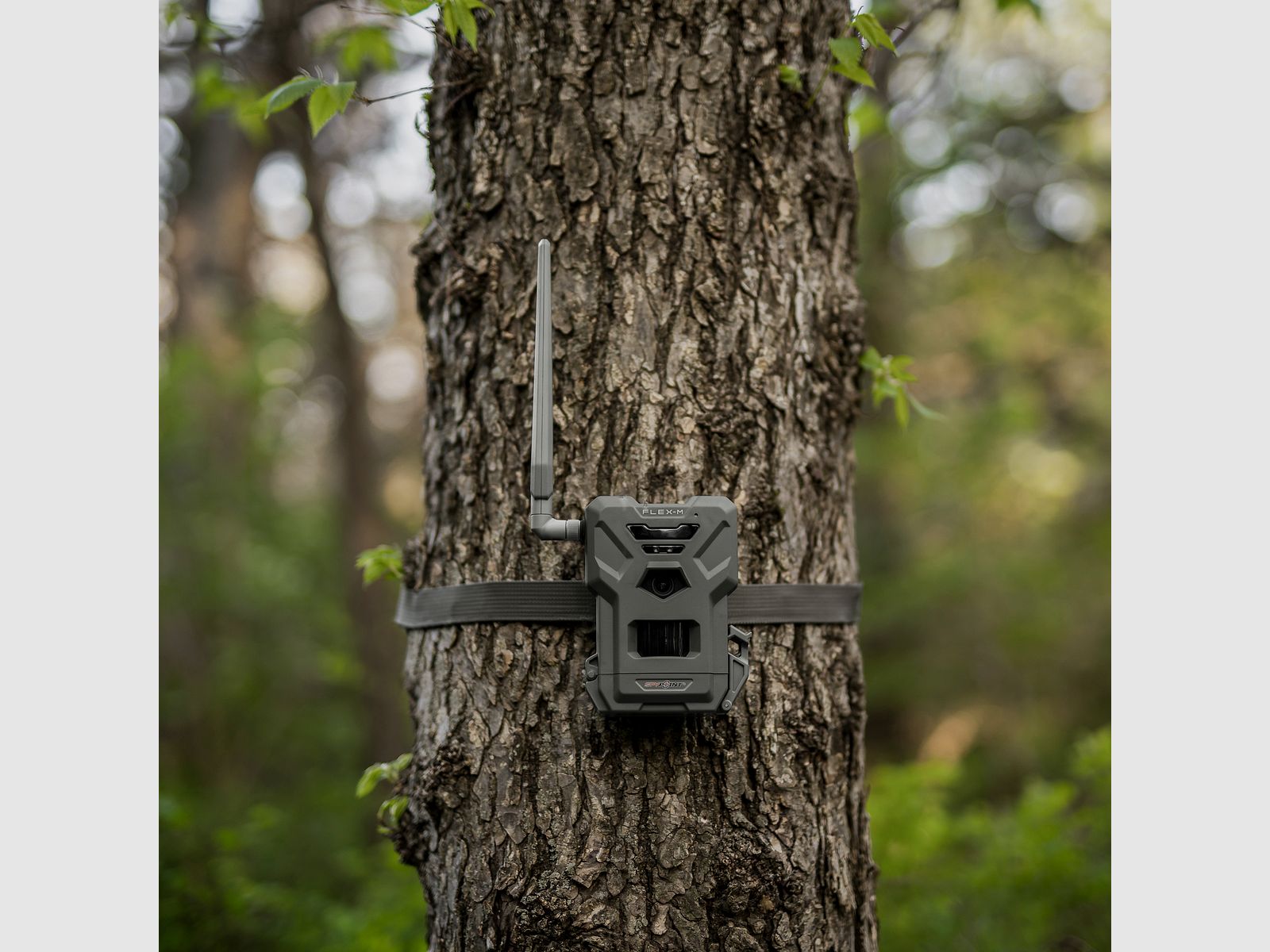 SPYPOINT FLEX-M caméra de chasse, image 7 sur 16