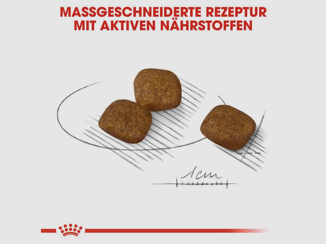 ROYAL CANIN Kleine Hunde Trockenfutter Coat Care für glänzendes Fell 3 Kg