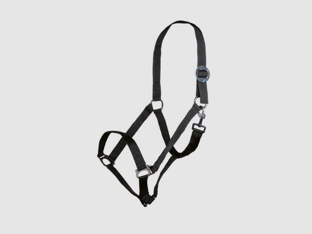 Ponyhalfter HKM STARS ECONOMY, Bild 1 von 4