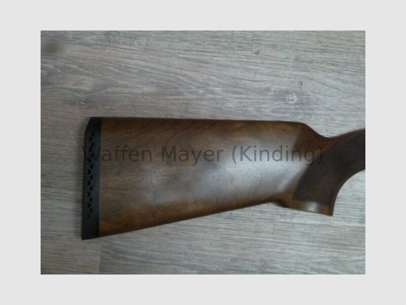 Fair Carerra Pro Sporting