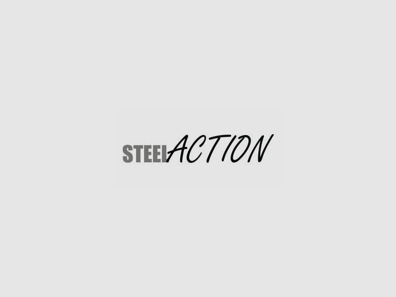 Steel Action HS HM