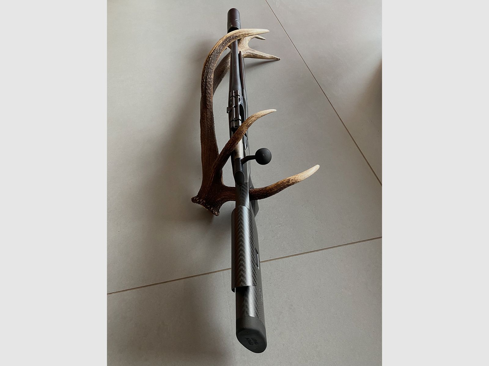 Sauer 202 carbon stock caliber 308