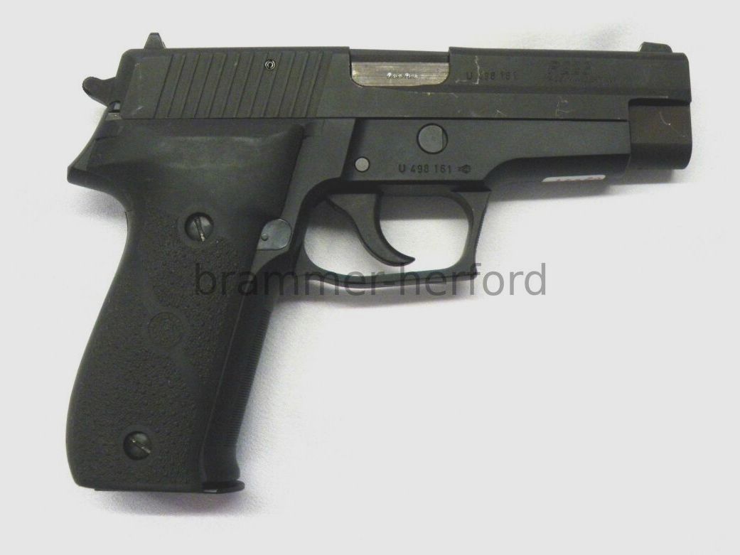 Sig Sauer (2) P226, afbeelding 1 van 2