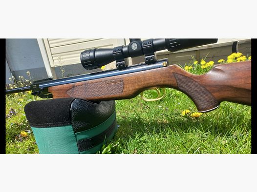 HW 35 E Premium Messing mit Tuningkit (7,5 J) 2024