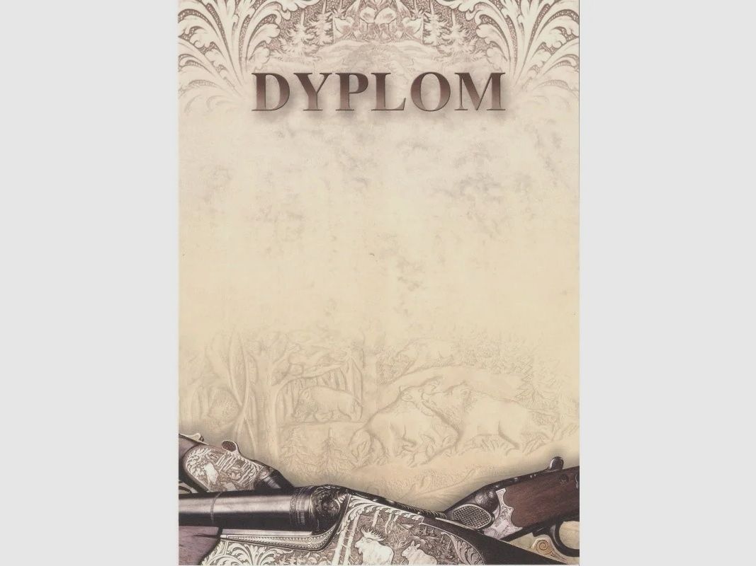 DYPLOM - BROŃ