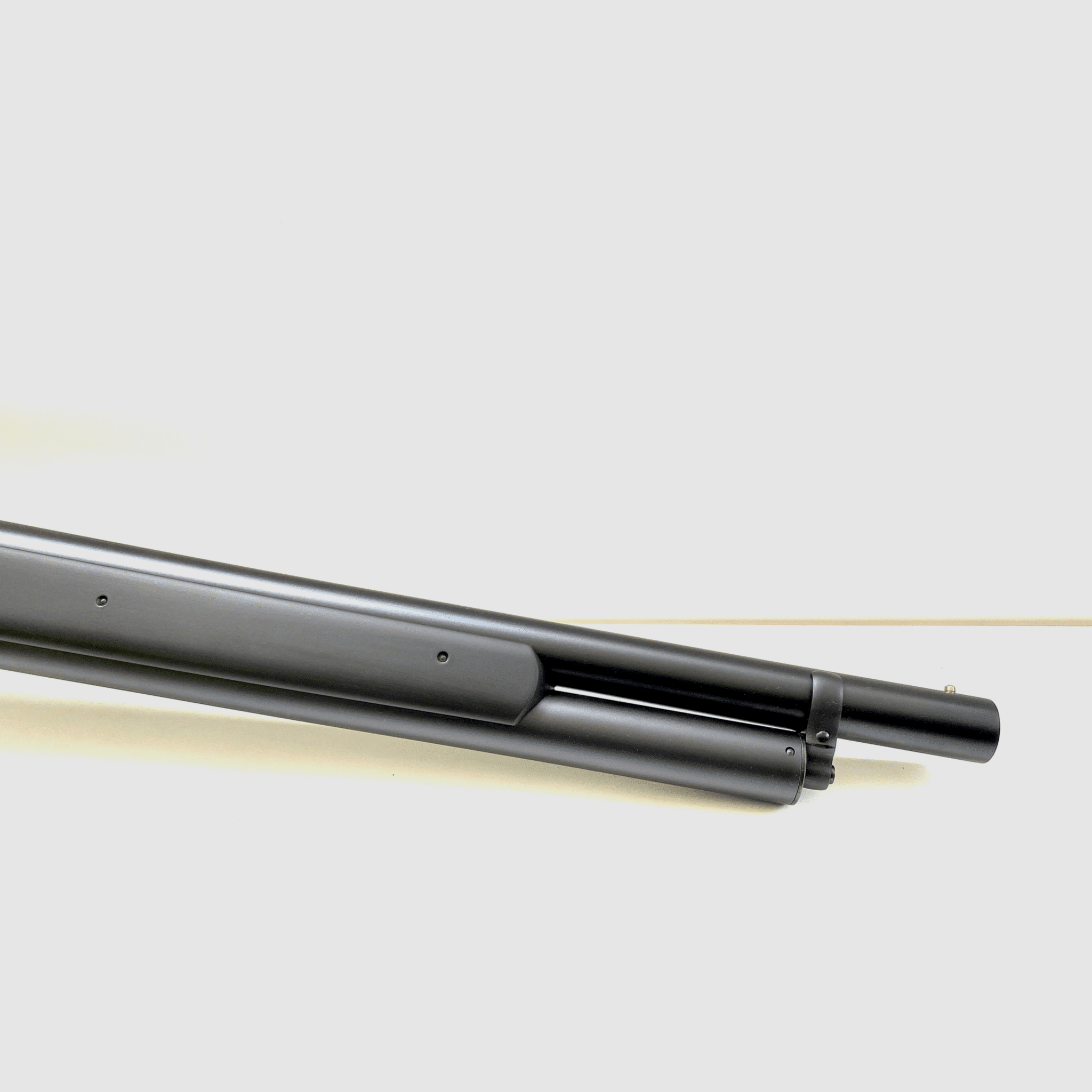 CHIAPPA 1887 T-Model