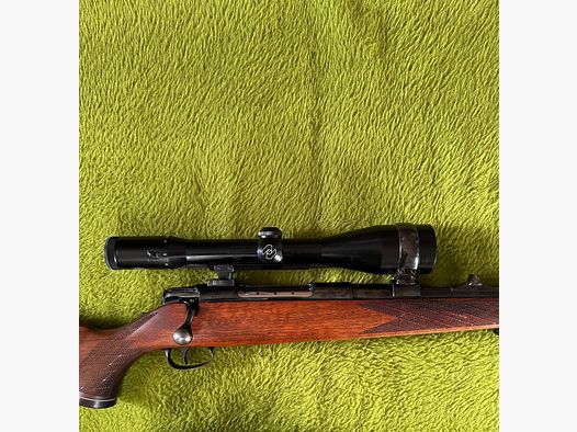 Sauer 80