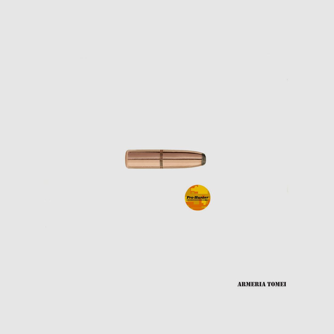 SIERRA – GESCHOSSE – 30 Kal. .308 DIA. 220GR HPBT PRO-HUNTER (100 STK) -2180