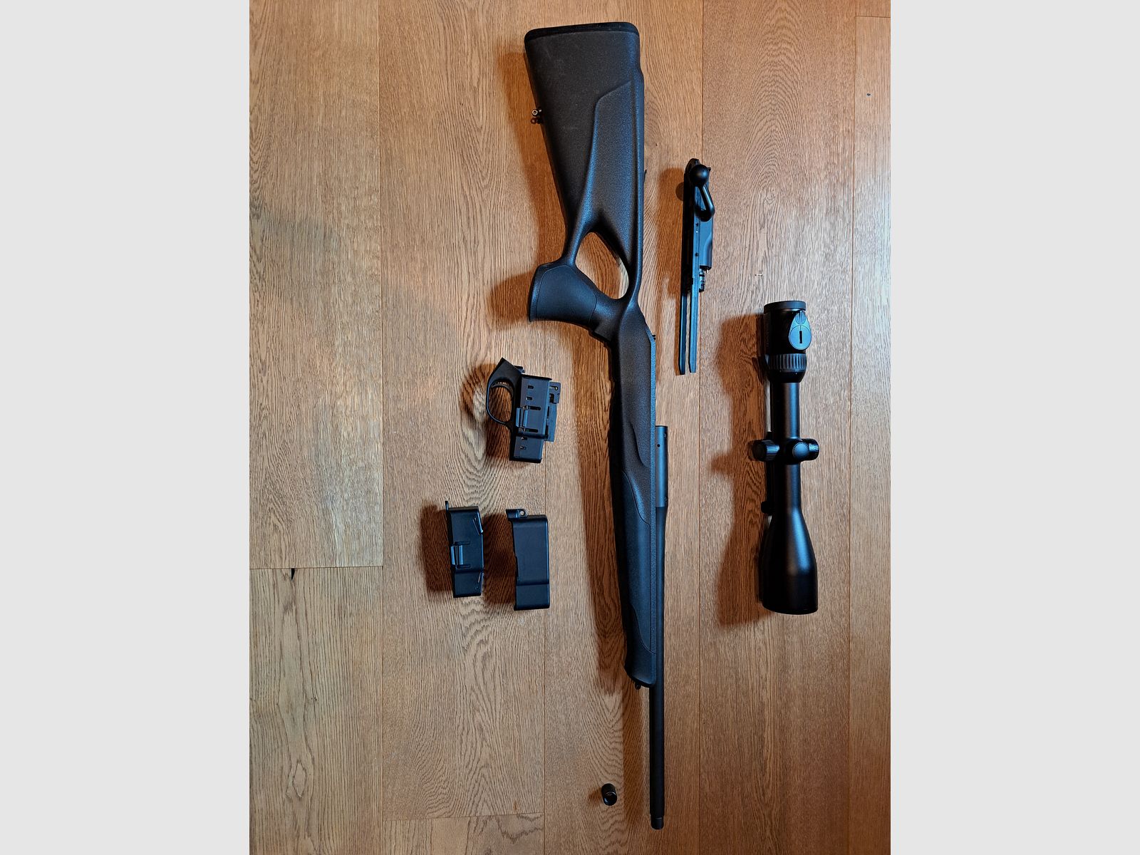 Blaser R8 professional success. 308 Win.