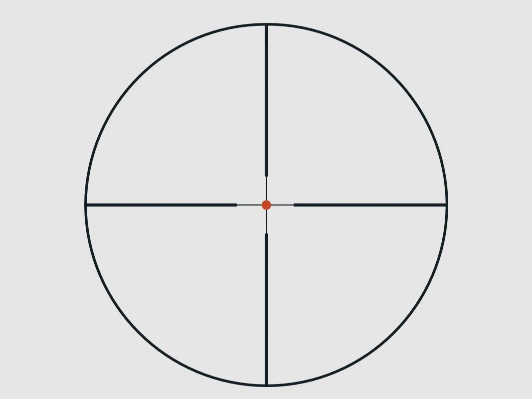 Riflescope SWAROVSKI DS 4-24X50 P L 4A-I, image 6 of 6