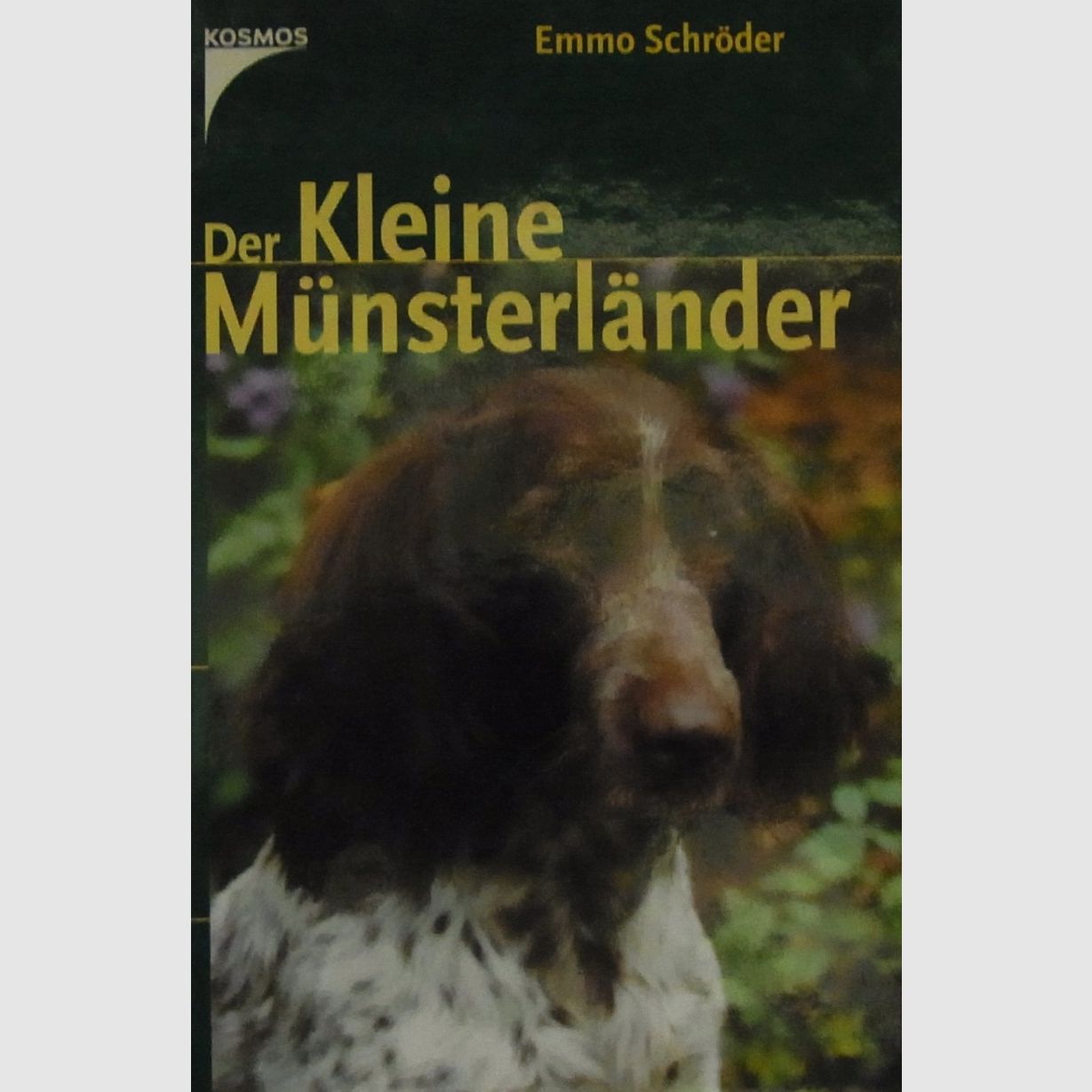 Buch Der Kleine Münsterländer