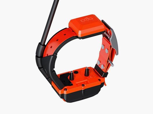 Zusätzlicher GPS-Halsband Dogtrace X40-T