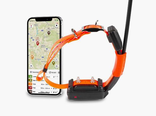 Collar DOGTRACE SHORT Adicional GPS X30-T