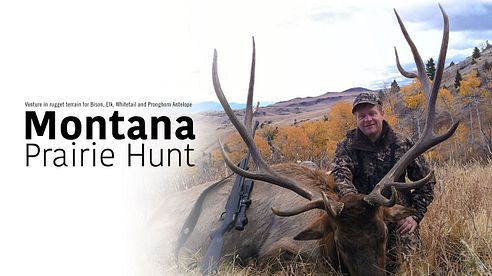 MONTANA PRAIRIE HUNT