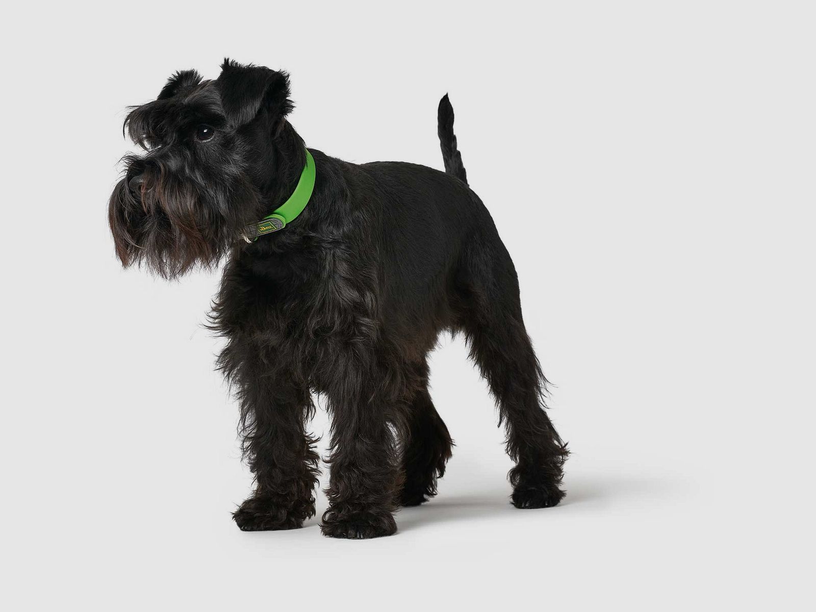 Hunter Halsband Convenience