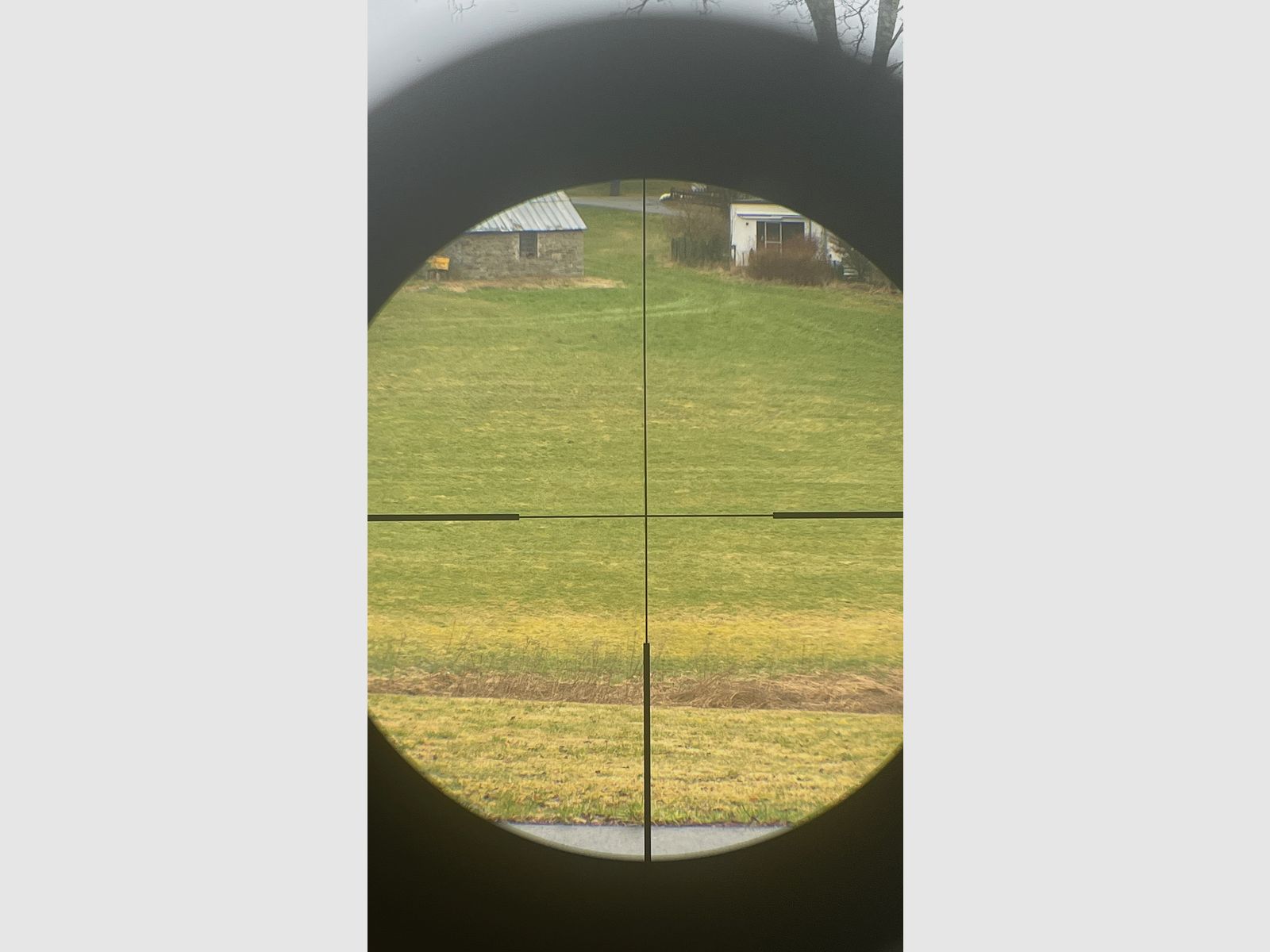 Steiner Ranger 8 2-16x50 riflescope with Zeiss rail