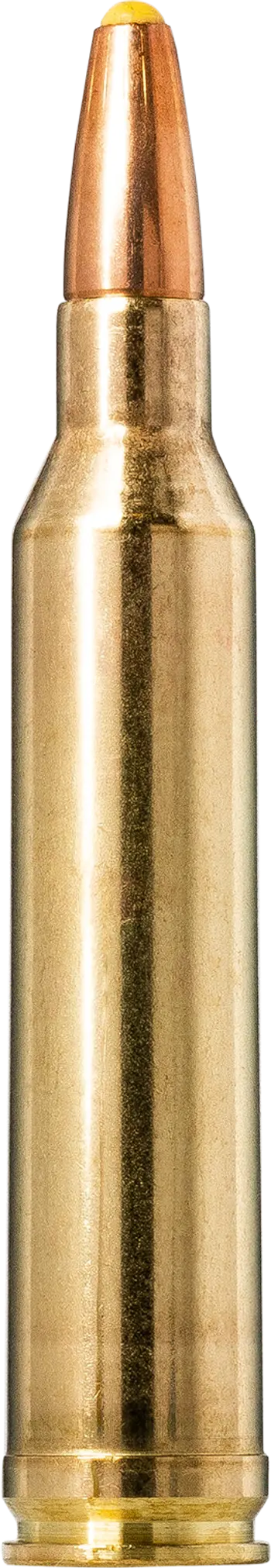 Box mit 20 Patronen 7mm Remington Plastic Point 170 grains, Bild 2 von 2