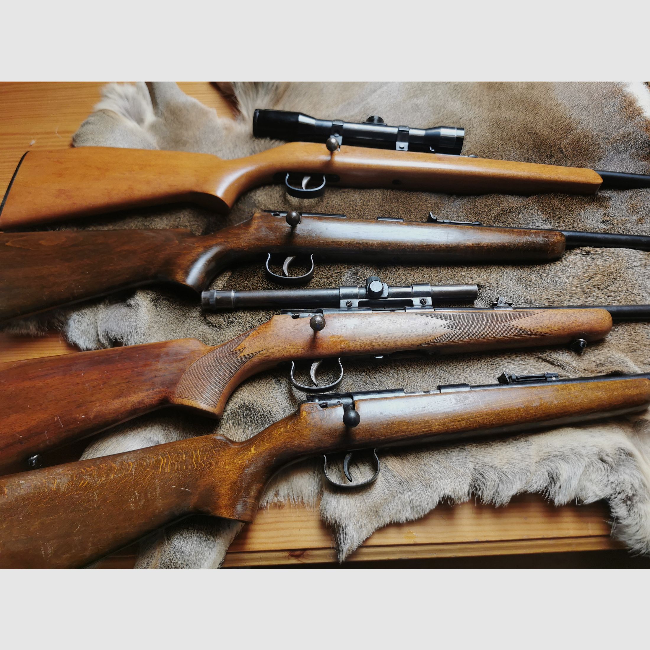 4 x Repetidor Anschütz 22 l.r.