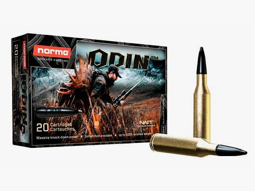 NORMA .30-06SPRG 180 gr 11,7 g ODIN
