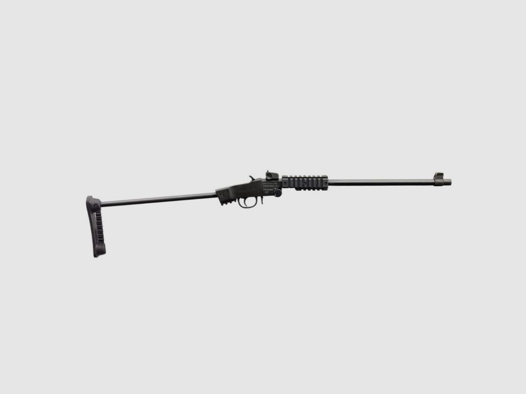 Chiappa Little Badger 22lr, immagine 10 di 11