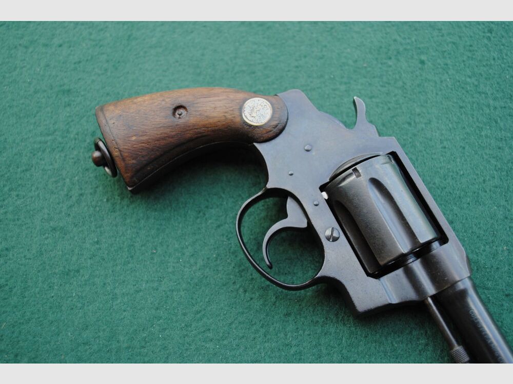 Colt Police Positive Special, Royal Hong Kong Police