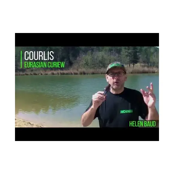 Appeau Courlis Helen Baud, image 7 sur 8