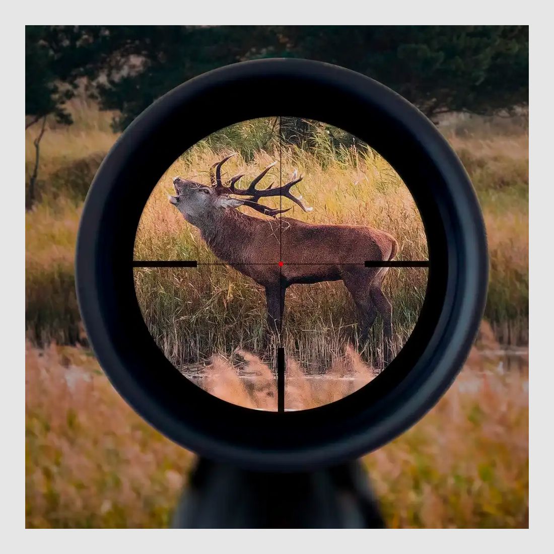 MINOX RS-6 2.2-14×50 S Zielfernrohr