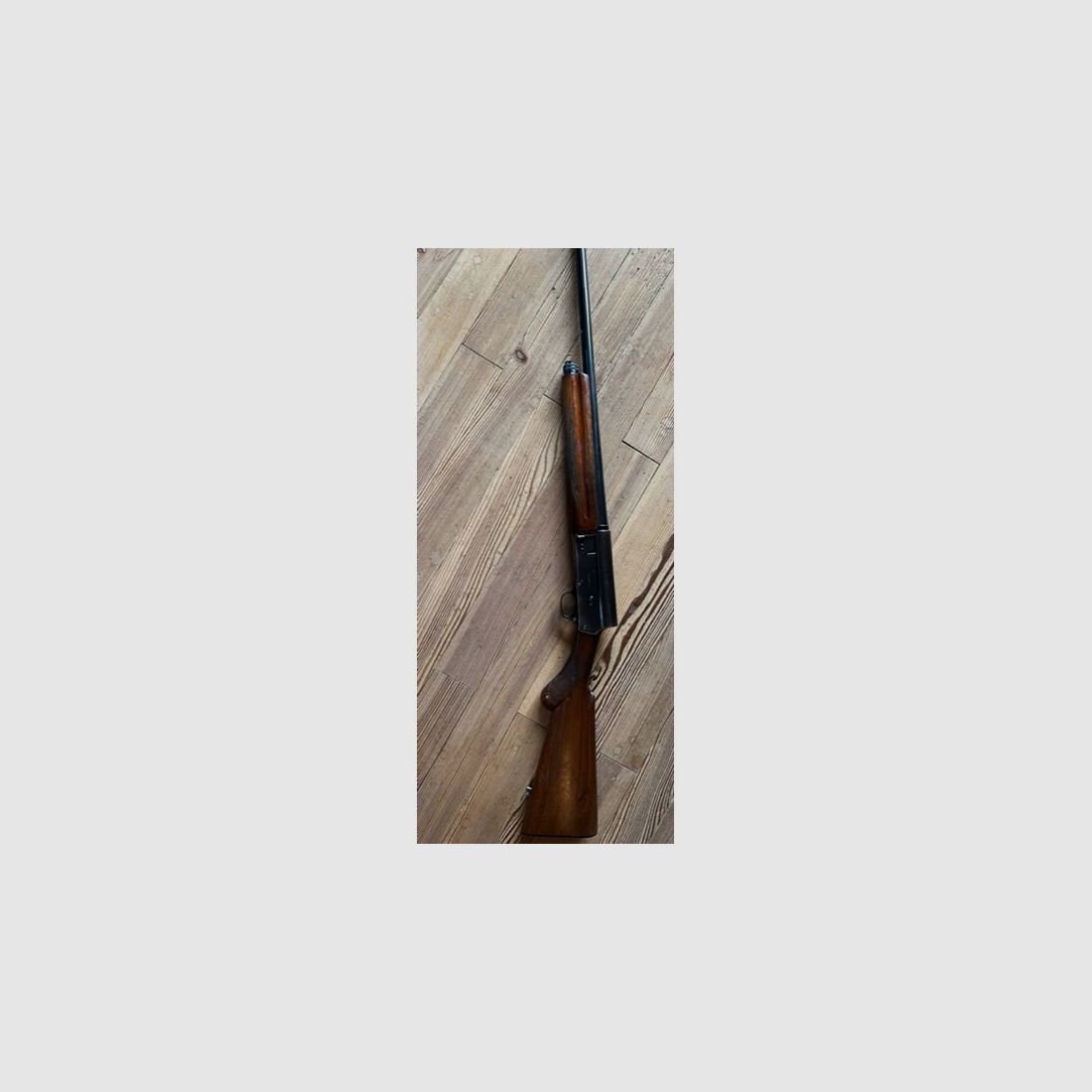 Browning Auto-5 .16/70