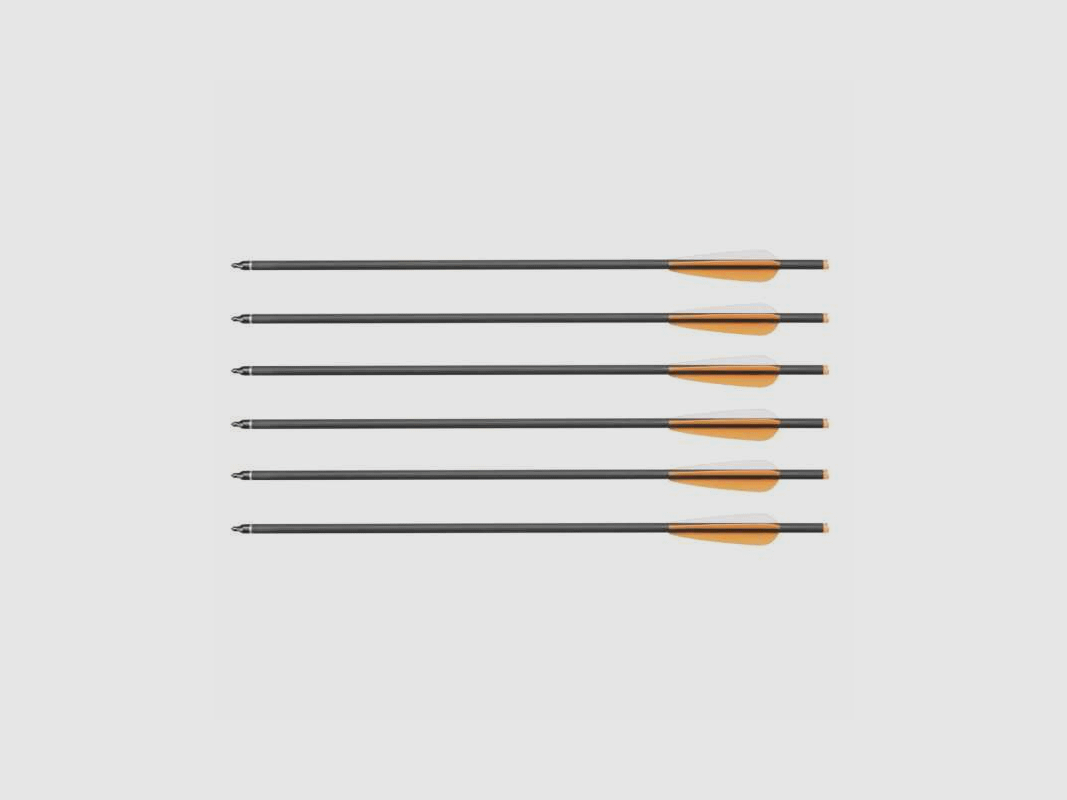 Carbon Ersatzpfeile Armbrust 20" 6-er Pack