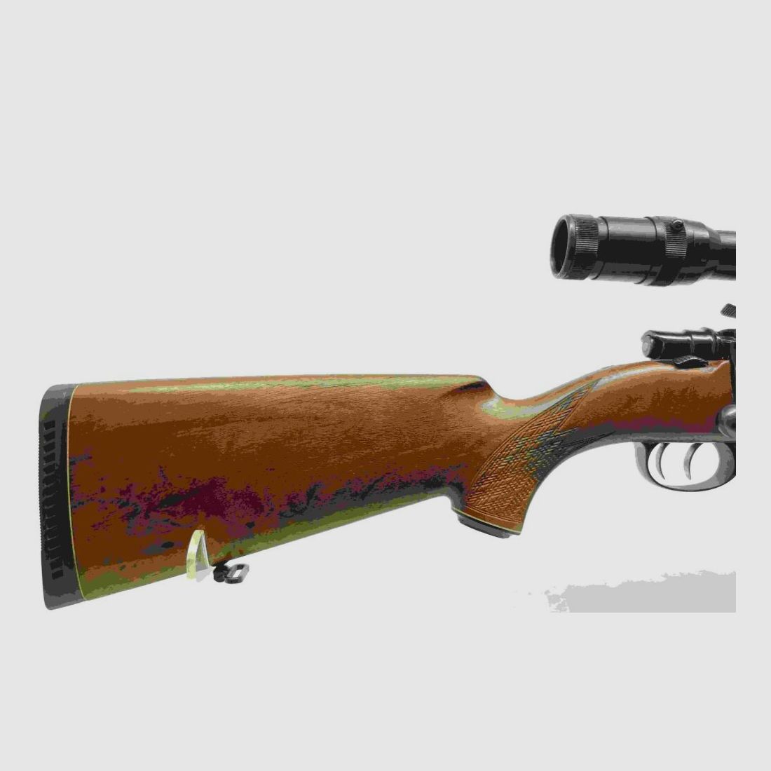 Cabaña de caza Suhler HW98