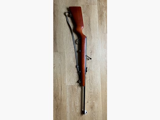 Haehnel, Modell 310