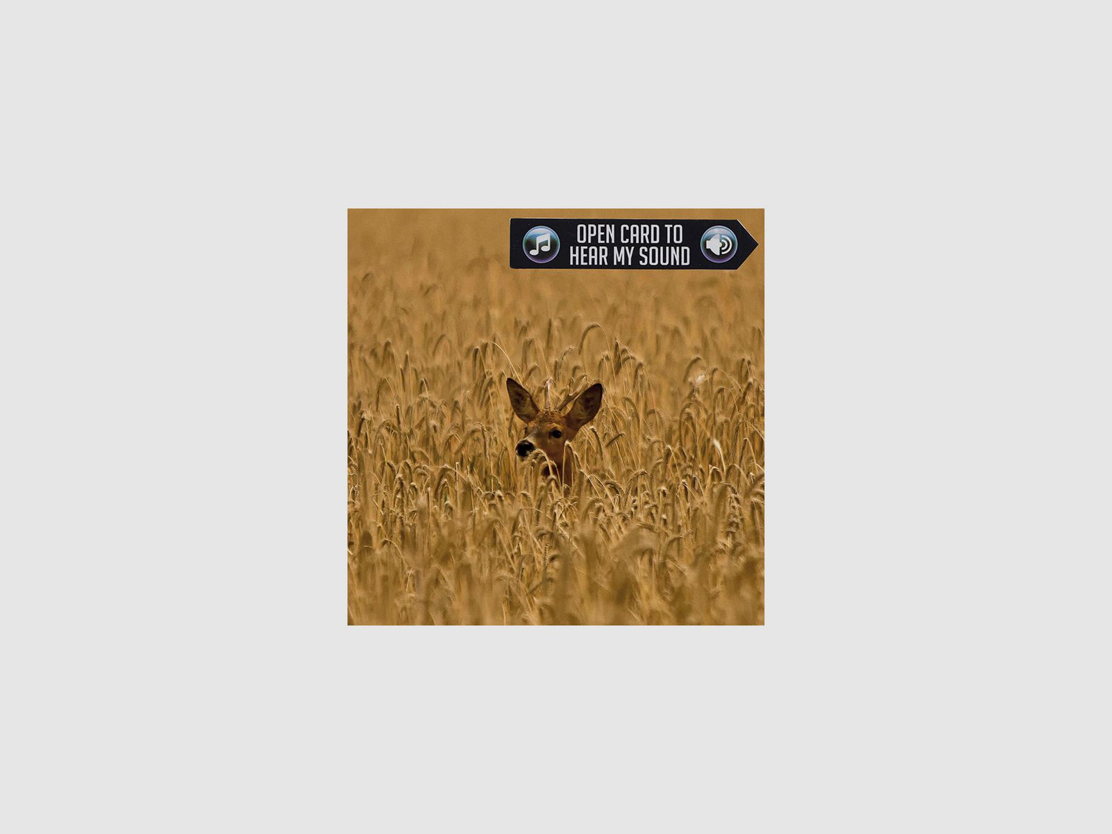 Karta powitalna z jeleniem