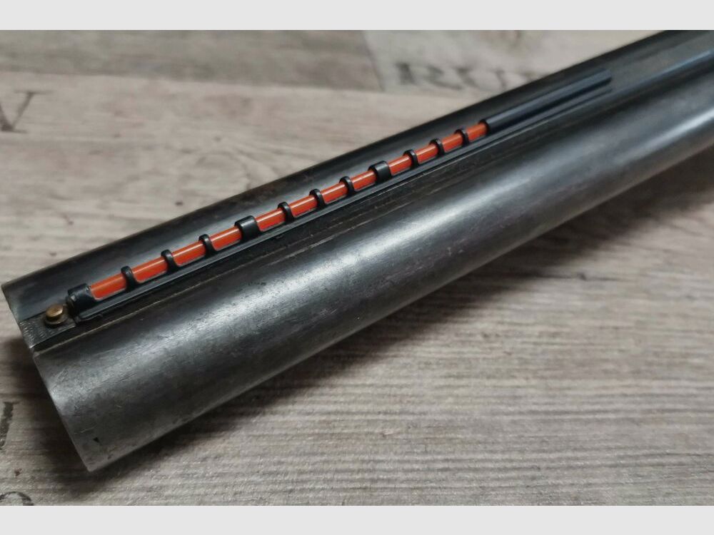 Baikal Taiga 43M 12/70