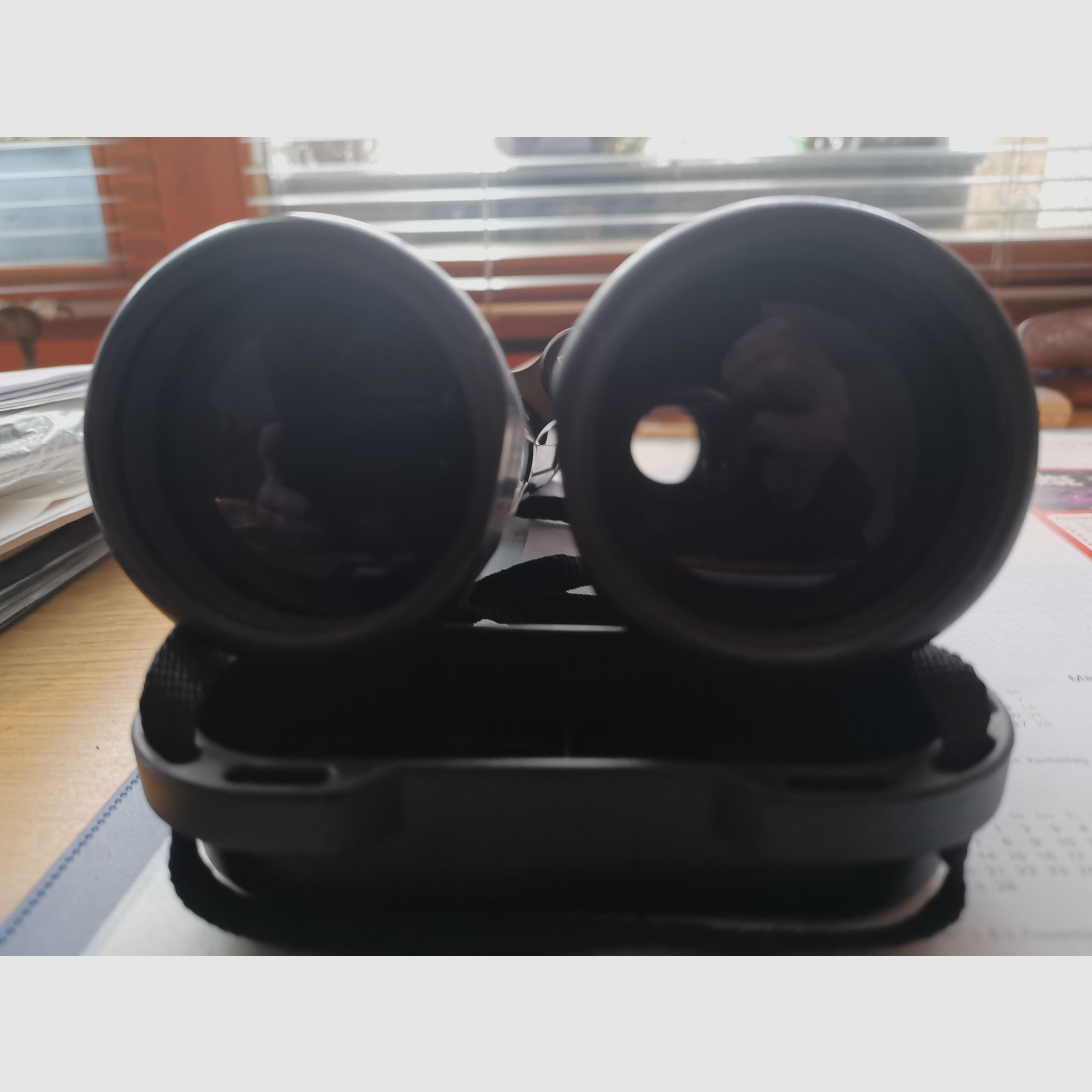 Lornetka ZEISS Dialyt 8 x 56 B