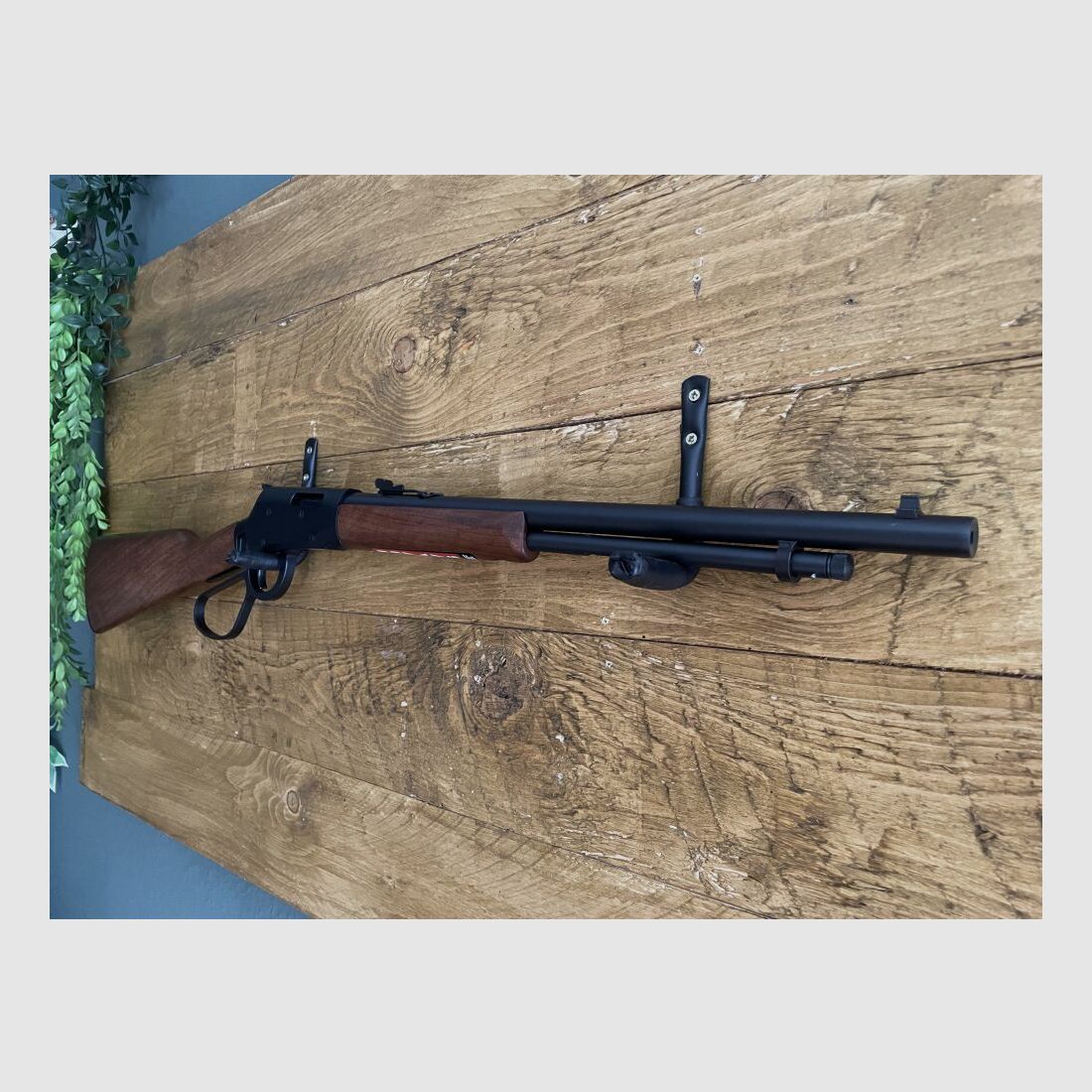 Savage Revel .22lr
